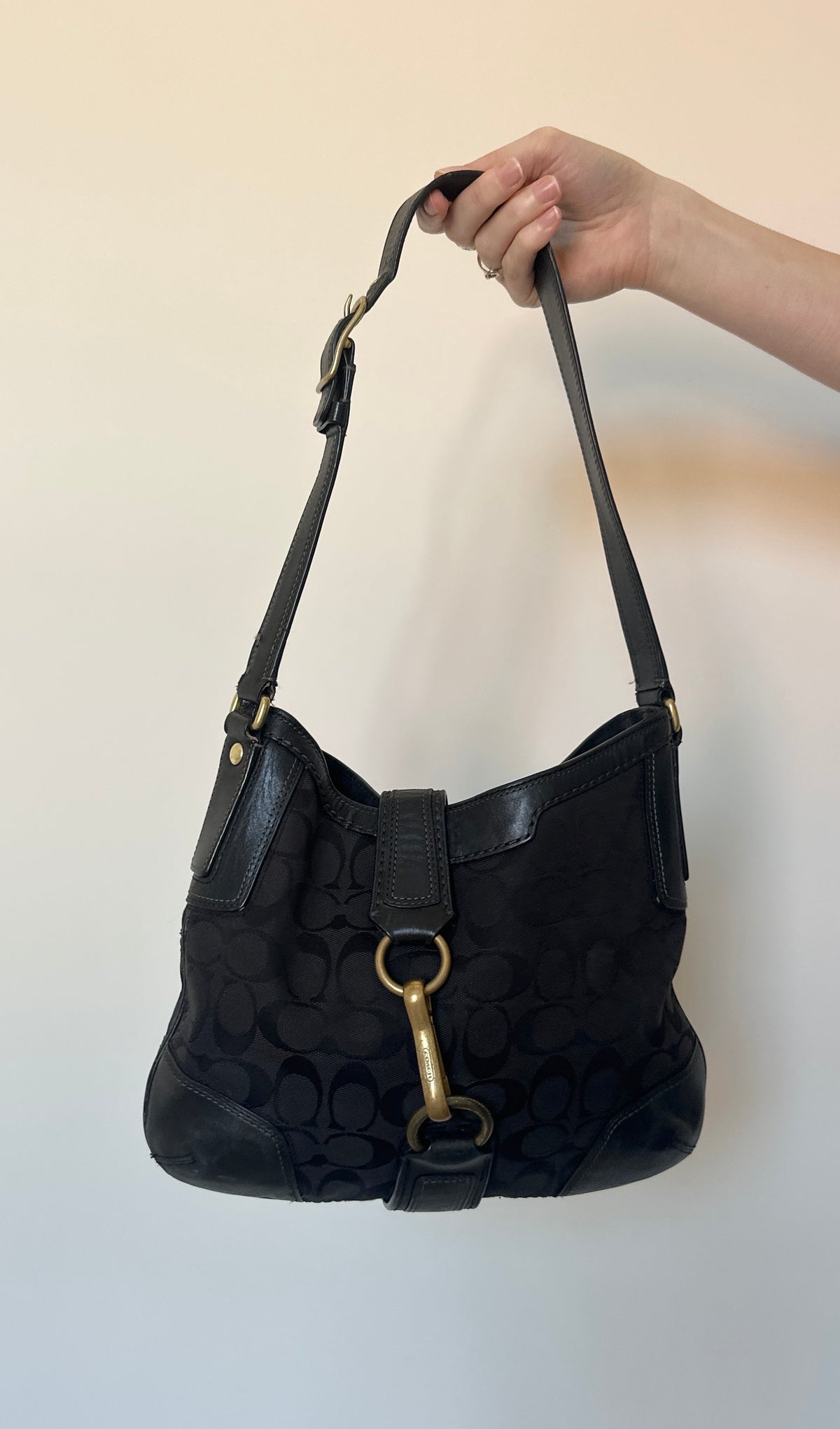 Vintage Coach Bag